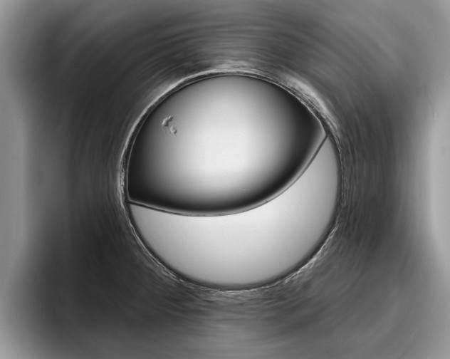 X0000096171284200801180822