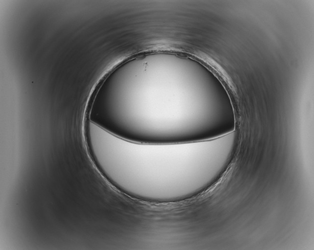 X0000096171285200801180822