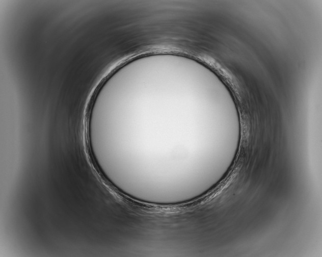 X0000096171286200801180822