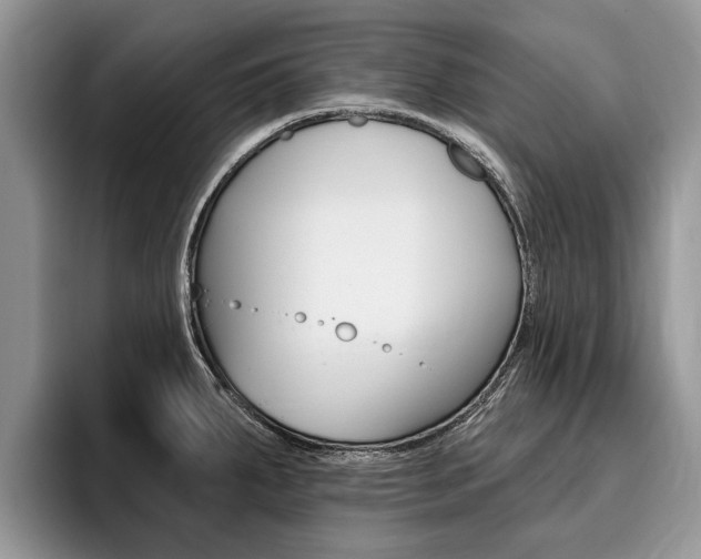 X0000096171287200801180822