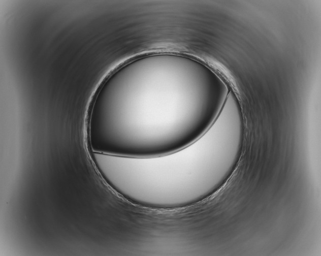 X0000096171288200801180822