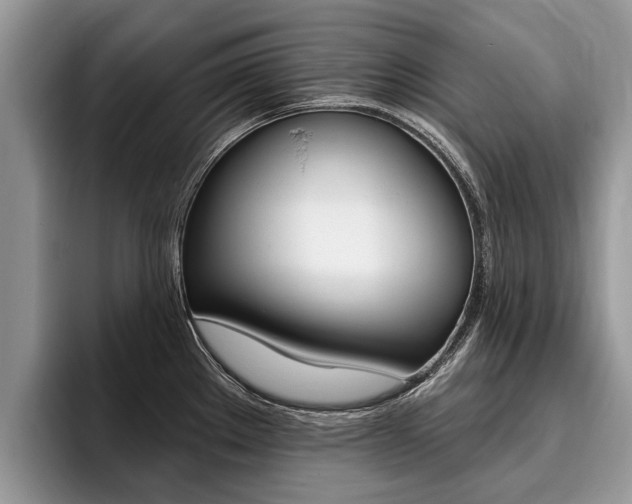X0000096171289200801180822