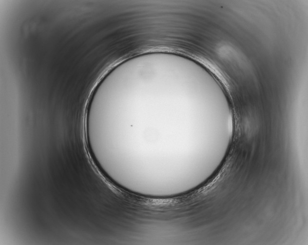 X0000096171290200801180822