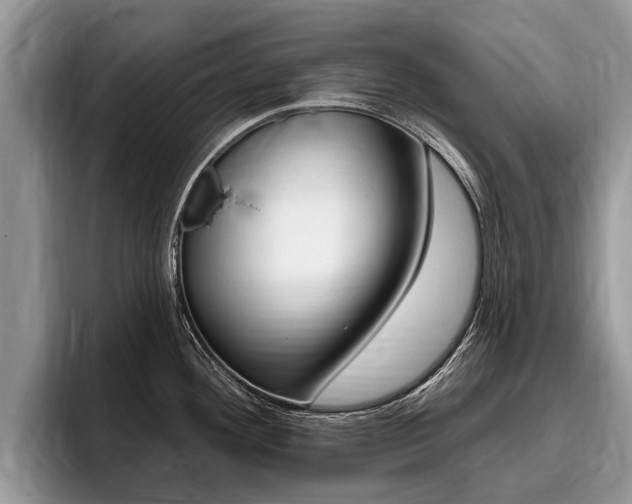 X0000096171292200801180822