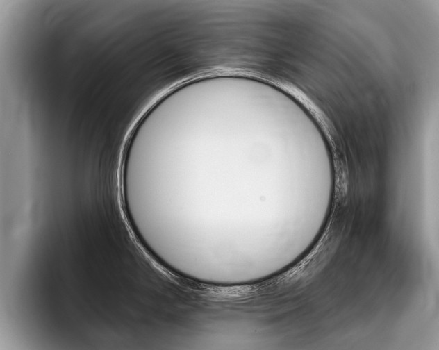 X0000096171294200801180822