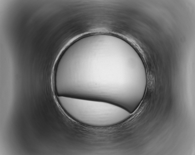 X0000096171295200801180822