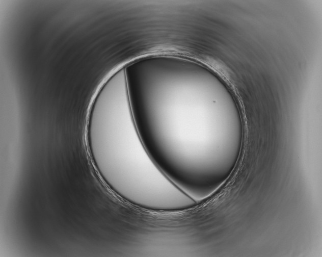 X0000096171296200801180822