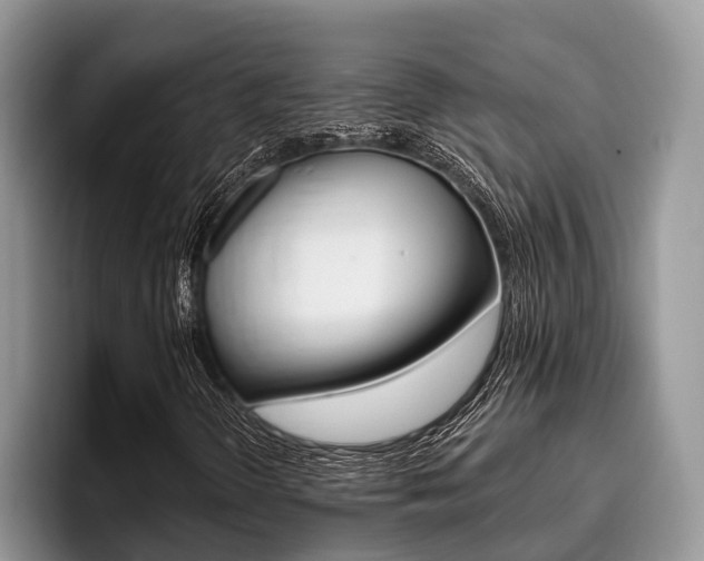 X0000096171298200801180822