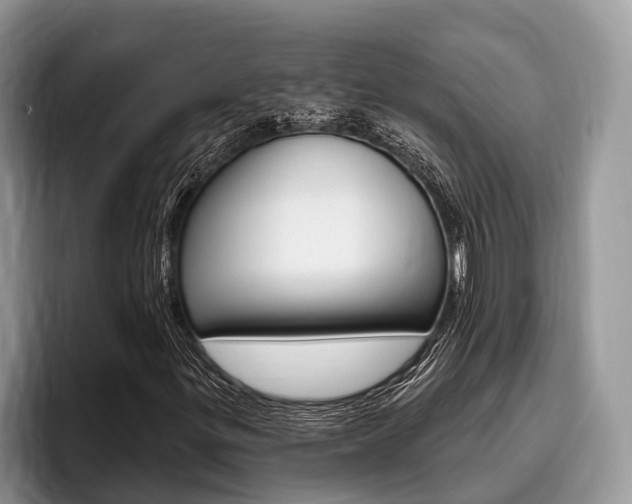 X0000096171299200801180822