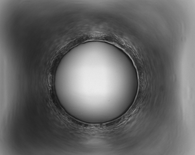 X0000096171301200801180822