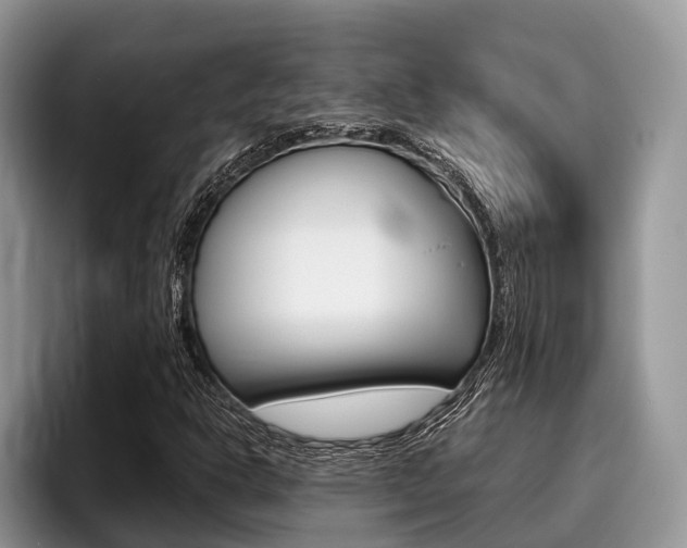 X0000096171302200801180822