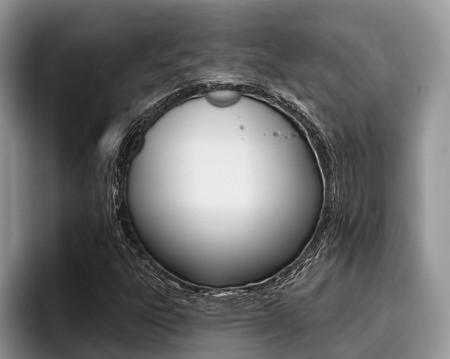 X0000096171303200801180822