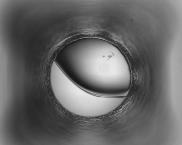 X0000096171304200801180822