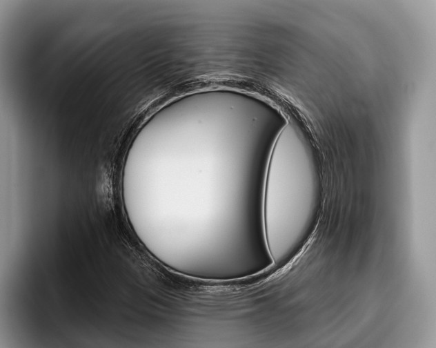 X0000096171305200801180822