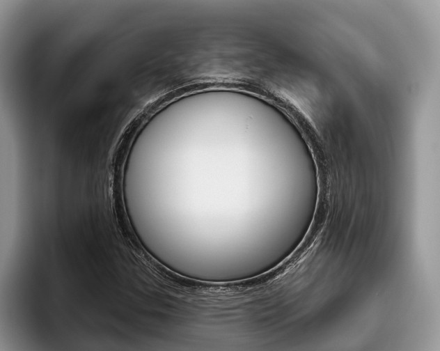 X0000096171307200801180822