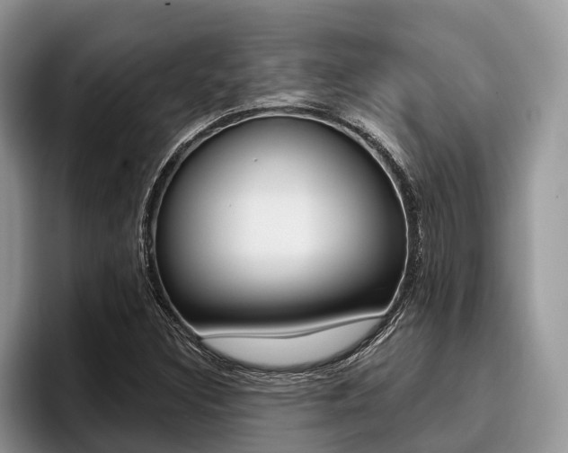 X0000096171308200801180822