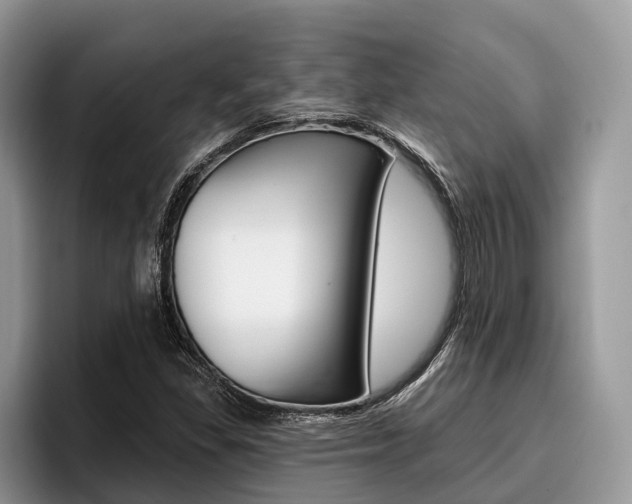 X0000096171309200801180822