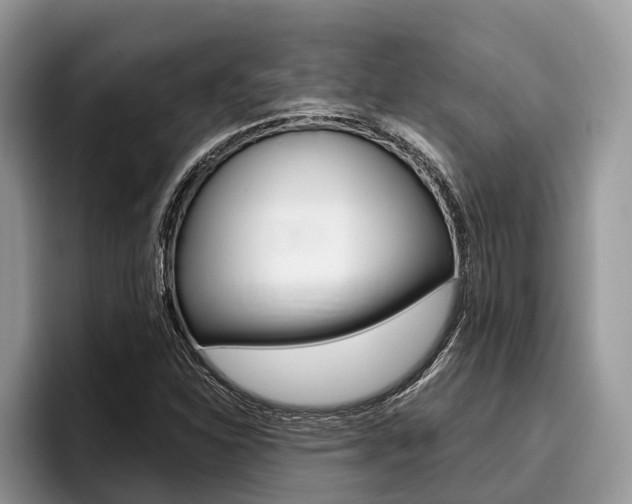 X0000096171310200801180822
