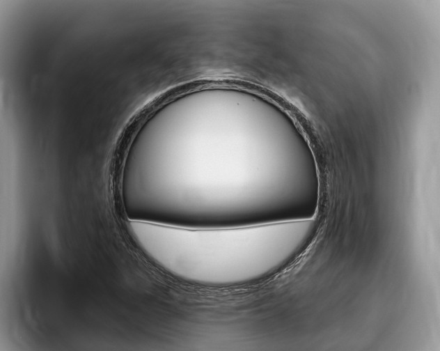 X0000096171311200801180822