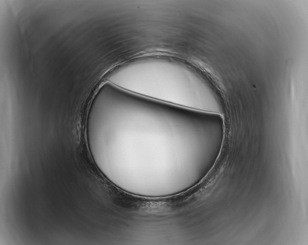 X0000096171313200801180822