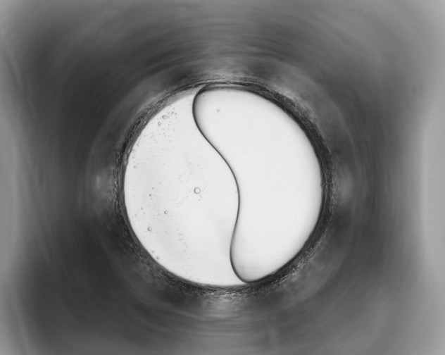X0000096171314200801180822