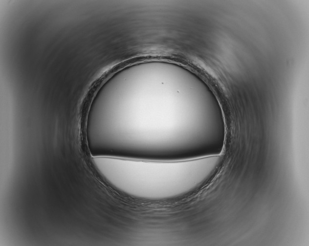 X0000096171315200801180822