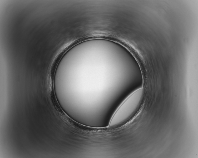 X0000096171317200801180822