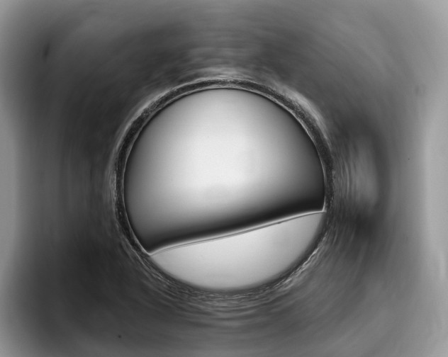 X0000096171318200801180822