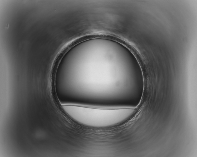 X0000096171319200801180822