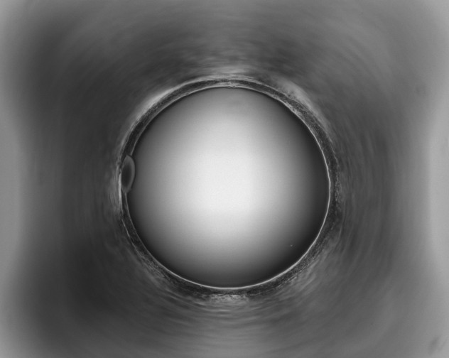 X0000096171320200801180822