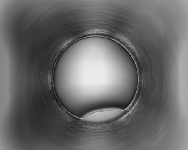 X0000096171321200801180822
