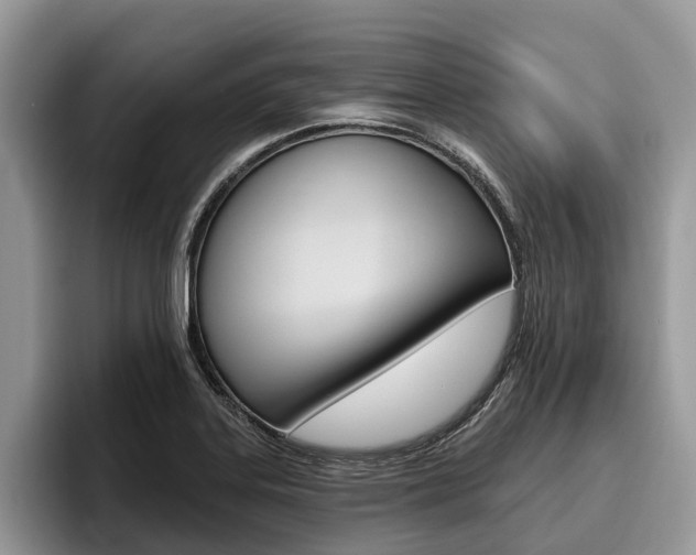 X0000096171323200801180822