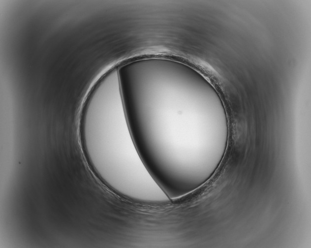 X0000096171326200801180822