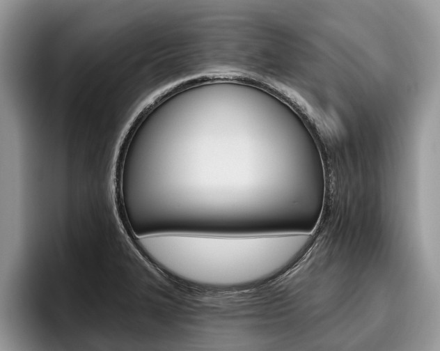 X0000096171327200801180822