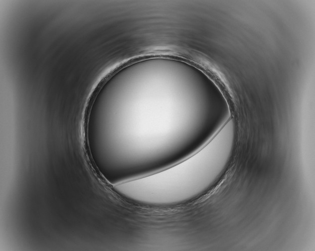 X0000096171328200801180822