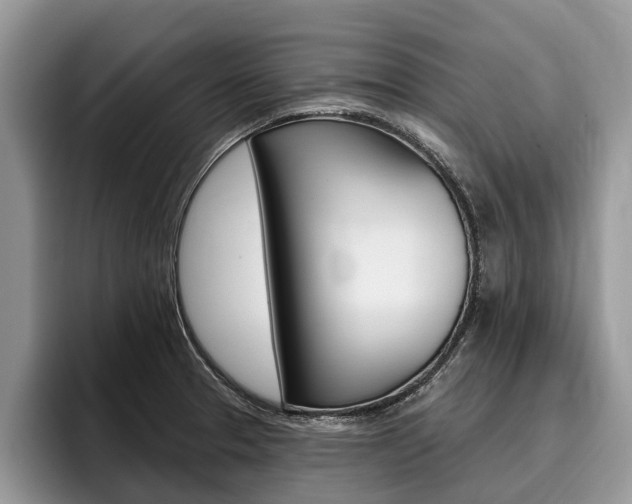 X0000096171329200801180822