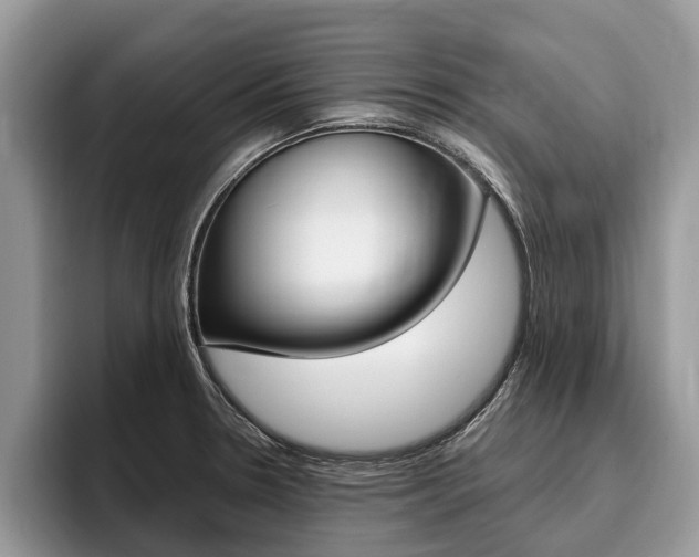 X0000096171330200801180822