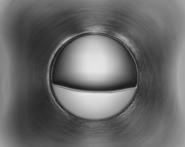 X0000096171331200801180822
