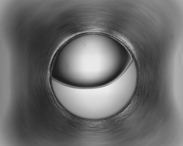 X0000096171332200801180822