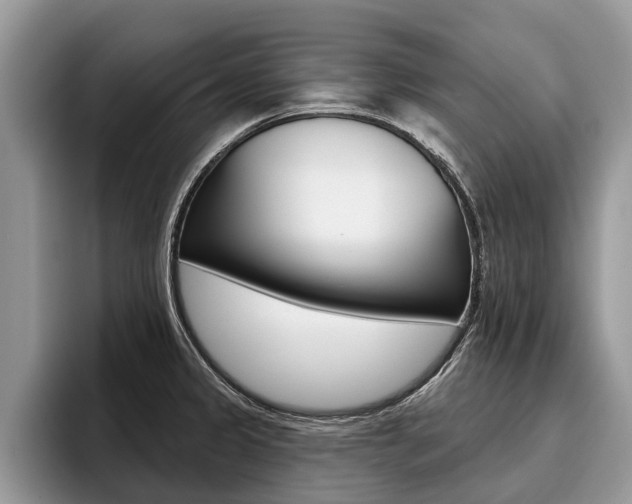 X0000096171333200801180822