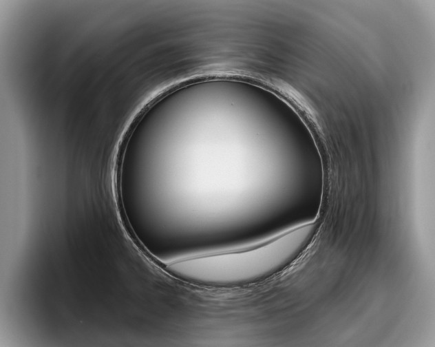 X0000096171334200801180822