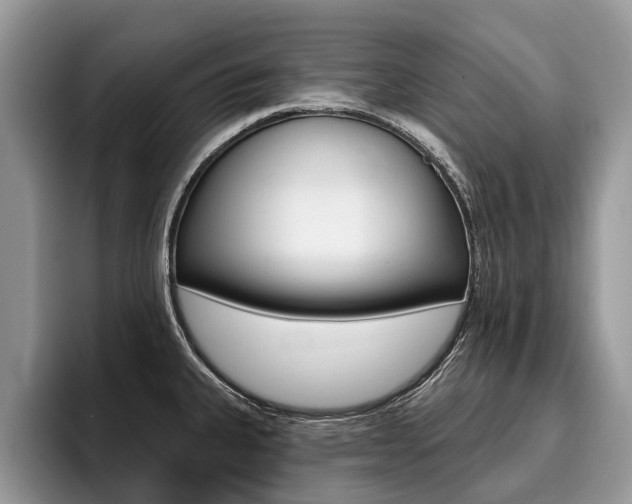 X0000096171335200801180822