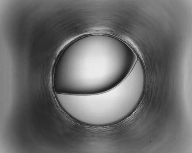 X0000096171336200801180822