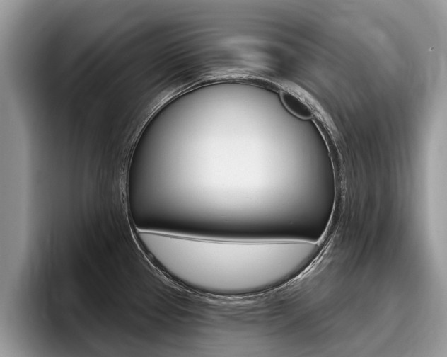 X0000096171337200801180822