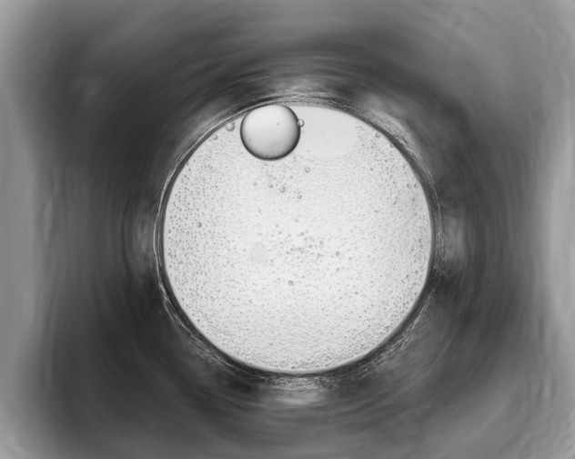 X0000096171338200801180822