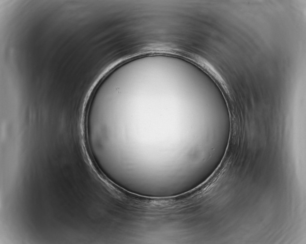 X0000096171339200801180822