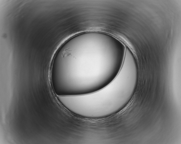 X0000096171340200801180822