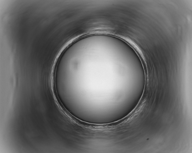 X0000096171341200801180822