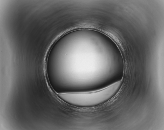 X0000096171342200801180822
