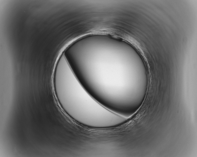 X0000096171344200801180822